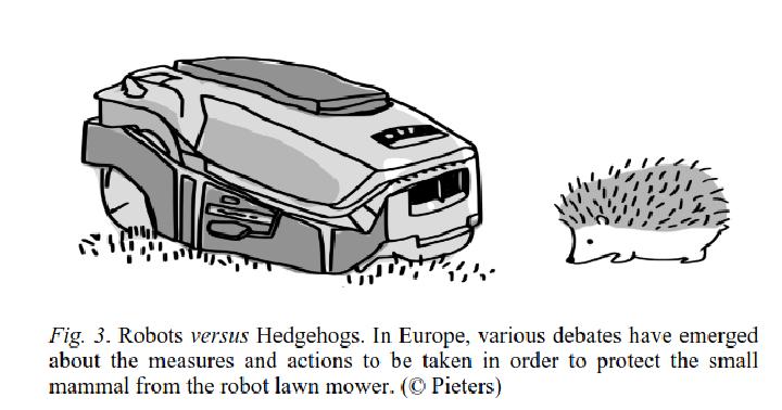 &ldquo;Robot lawnmower and hedgehog looking at each others&rdquo;
